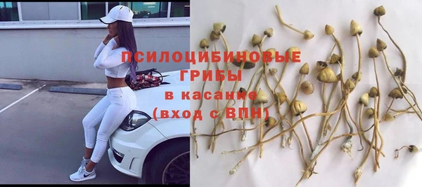мдпв Магадан