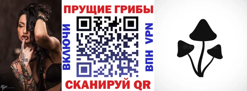 где продают   дарк нет какой сайт  Псилоцибиновые грибы мицелий  Ухта 