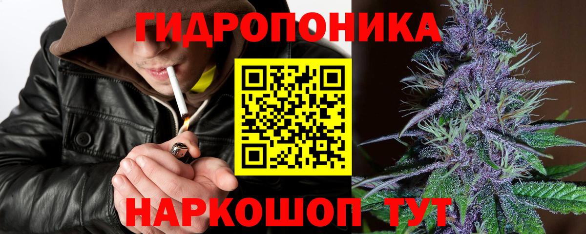 Шишки марихуана OG Kush Ухта